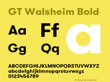 GT Walsheim Bold Web Version 15.000图片样张