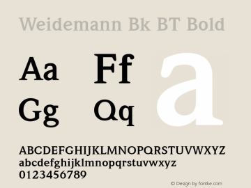 Weidemann Bold BT Version 2.1图片样张