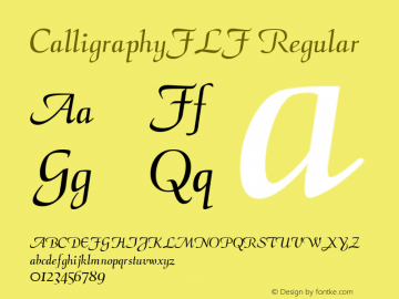 CalligraphyFLF Macromedia Fontographer 4.1.5 01.17.03图片样张