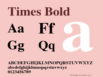 Times Bold 1.0 Font Sample