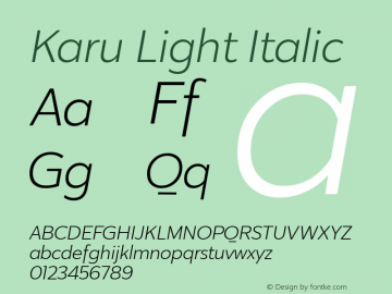 Karu Light Italic Version 1.000;PS 001.000;hotconv 1.0.88;makeotf.lib2.5.64775 Font Sample