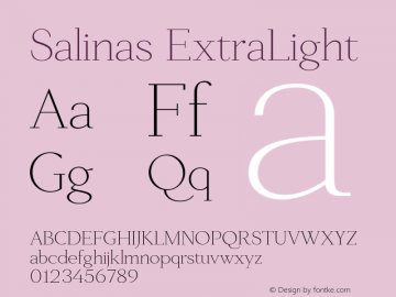Salinas ExtraLight Version 1.003;PS 001.003;hotconv 1.0.88;makeotf.lib2.5.64775 Font Sample