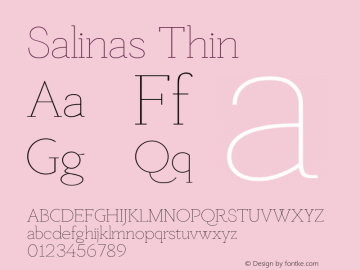 Salinas Thin Version 1.003图片样张
