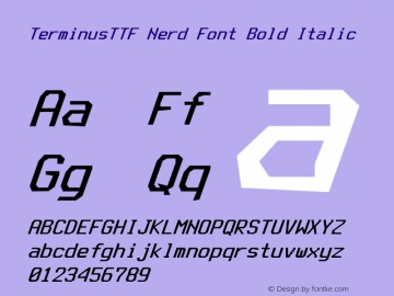 Terminus (TTF) Bold Italic Nerd Font Complete Version 4.40.1;Nerd Fonts Font Sample