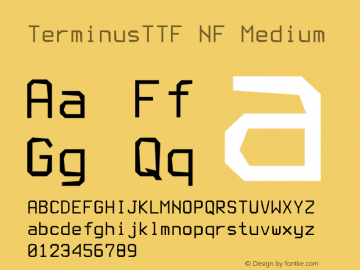 Terminus (TTF) Nerd Font Complete Mono Windows Compatible Version 4.40.1;Nerd Fonts Font Sample
