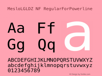 Meslo LG L DZ Regular for  Nerd Font Complete Windows Compatible 1.210图片样张