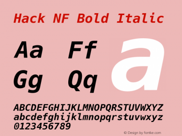Hack Bold Italic Nerd Font Complete Mono Windows Compatible Version 2.020; ttfautohint (v1.5) -l 4 -r 80 -G 350 -x 0 -H 265 -D latn -f latn -m 