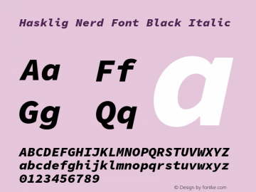 Hasklig Black Italic Nerd Font Complete Version 1.030;PS 1.0;hotconv 1.0.88;makeotf.lib2.5.647800图片样张