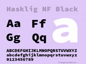 Hasklig Black Nerd Font Complete Windows Compatible Version 2.010;PS 1.0;hotconv 1.0.88;makeotf.lib2.5.647800图片样张