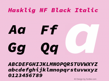 Hasklig Black Italic Nerd Font Complete Windows Compatible Version 1.030;PS 1.0;hotconv 1.0.88;makeotf.lib2.5.647800图片样张