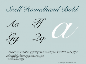 Snell Roundhand Bold 13.0d1e1 Font Sample