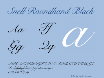Snell Roundhand Black 13.0d1e1 Font Sample