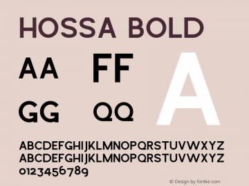 Hossa Bold Version 1.000;PS 001.000;hotconv 1.0.88;makeotf.lib2.5.64775 Font Sample