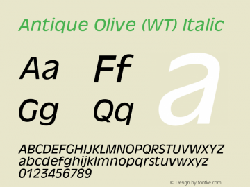 Antique Olive (WT) Italic 19: 91846图片样张