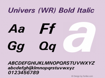 Univers (WR) Bold Italic 19: 94024 Font Sample