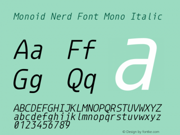 Monoid Italic Nerd Font Complete Mono Version 0.61;Nerd Fonts 1.1. Font Sample