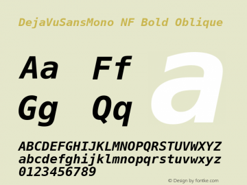 DejaVu Sans Mono Bold Oblique Nerd Font Complete Windows Compatible Version 2.37 Font Sample