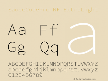 Sauce Code Pro ExtraLight Nerd Font Complete Windows Compatible Version 2.010;PS 1.000;hotconv 1.0.84;makeotf.lib2.5.63406 Font Sample