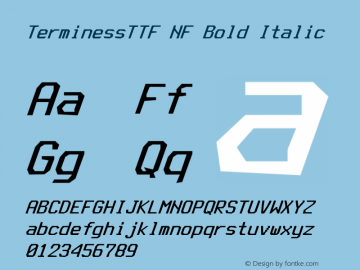 Terminess (TTF) Bold Italic Nerd Font Complete Mono Windows Compatible Version 4.40.1;Nerd Fonts 1.图片样张