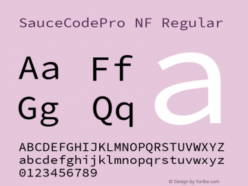 Sauce Code Pro Nerd Font Complete Mono Windows Compatible Version 2.010;PS 1.000;hotconv 1.0.84;makeotf.lib2.5.63406图片样张