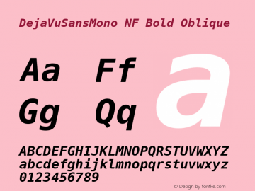 DejaVu Sans Mono Bold Oblique Nerd Font Complete Mono Windows Compatible Version 2.37 Font Sample