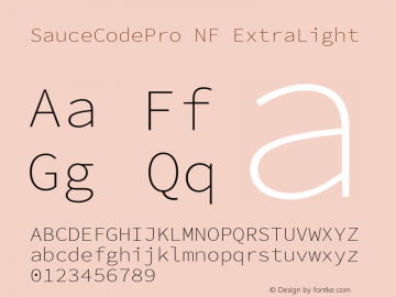Sauce Code Pro ExtraLight Nerd Font Complete Mono Windows Compatible Version 2.010;PS 1.000;hotconv 1.0.84;makeotf.lib2.5.63406 Font Sample