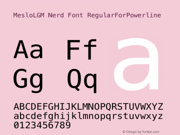 Meslo LG M Regular Nerd Font Complete 1.210图片样张