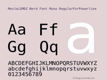 Meslo LG M DZ Regular Nerd Font Complete Mono 1.210 Font Sample