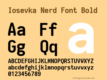 Iosevka Bold Nerd Font Complete 1.8.4; ttfautohint (v1.5) Font Sample