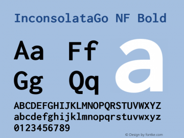 InconsolataGo Bold Nerd Font Complete Windows Compatible Version 1.015; ttfautohint (v0.92) -l 8 -r 50 -G 200 -x 14 -w 