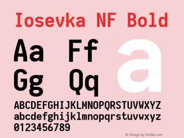 Iosevka Bold Nerd Font Complete Windows Compatible 1.8.4; ttfautohint (v1.5)图片样张