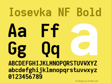 Iosevka Bold Nerd Font Complete Mono Windows Compatible 1.8.4; ttfautohint (v1.5) Font Sample