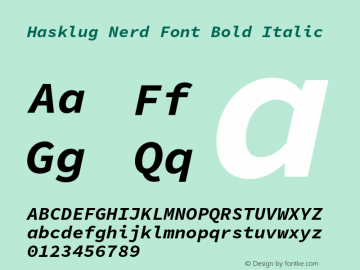 Hasklug Bold Italic Nerd Font Complete Version 1.030;PS 1.0;hotconv 1.0.88;makeotf.lib2.5.647800 Font Sample