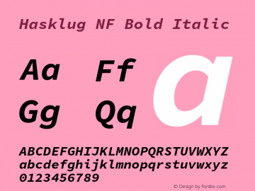 Hasklug Bold Italic Nerd Font Complete Windows Compatible Version 1.030;PS 1.0;hotconv 1.0.88;makeotf.lib2.5.647800 Font Sample