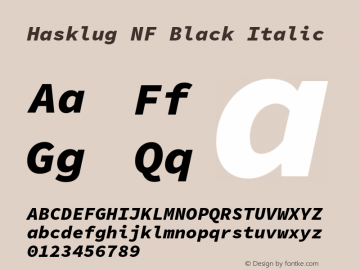 Hasklug Black Italic Nerd Font Complete Mono Windows Compatible Version 1.030;PS 1.0;hotconv 1.0.88;makeotf.lib2.5.647800图片样张