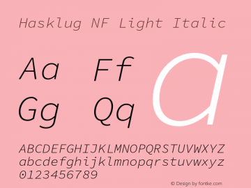 Hasklug Light Italic Nerd Font Complete Mono Windows Compatible Version 1.030;PS 1.0;hotconv 1.0.88;makeotf.lib2.5.647800 Font Sample