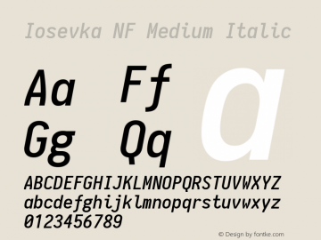 Iosevka Medium Italic Nerd Font Complete Windows Compatible 1.8.4; ttfautohint (v1.5)图片样张