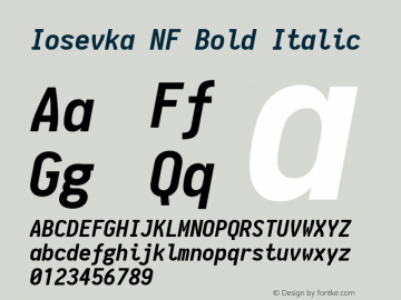 Iosevka Bold Italic Nerd Font Complete Windows Compatible 1.8.4; ttfautohint (v1.5) Font Sample