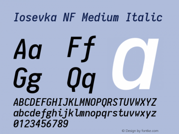 Iosevka Medium Italic Nerd Font Complete Mono Windows Compatible 1.8.4; ttfautohint (v1.5) Font Sample