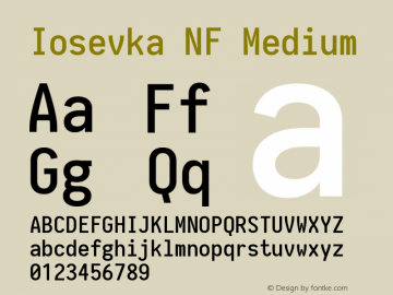 Iosevka Medium Nerd Font Complete Mono Windows Compatible 1.8.4; ttfautohint (v1.5) Font Sample