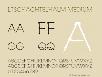 LTSchachtelhalm Medium Version 001.000图片样张