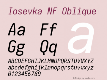 Iosevka Oblique Nerd Font Complete Mono Windows Compatible 1.8.4; ttfautohint (v1.5)图片样张