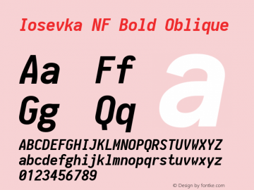 Iosevka Bold Oblique Nerd Font Complete Mono Windows Compatible 1.8.4; ttfautohint (v1.5) Font Sample