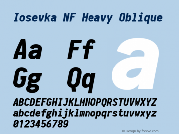 Iosevka Heavy Oblique Nerd Font Complete Mono Windows Compatible 1.8.4; ttfautohint (v1.5)图片样张