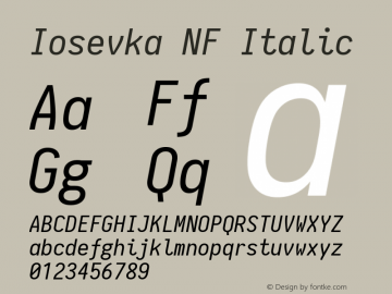 Iosevka Italic Nerd Font Complete Mono Windows Compatible 1.8.4; ttfautohint (v1.5) Font Sample