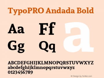 TypoPRO Andada Bold Version 1.003图片样张