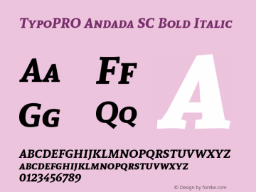 TypoPRO Andada SC Bold Italic Version 1.003图片样张
