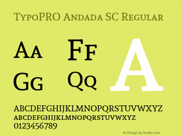 TypoPRO Andada SC Version 1.003图片样张
