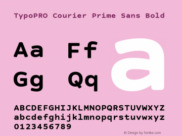 TypoPRO Courier Prime Sans Bold Version 3.020图片样张