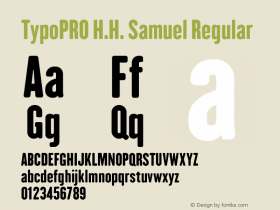 TypoPRO H.H. Samuel Version 1.009图片样张